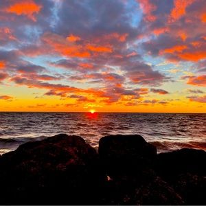 Meet your Posher, Paulette